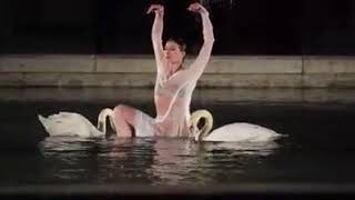 Lac des Cygnes ballet aquatique: Tokyo 2016 Marie Agnès Gillot