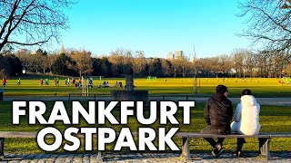 2025 Frankfurt Ostpark Walking Tour 🇩🇪 | Peaceful Nature Walk in the City | Winter in Germany