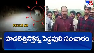 Kakinada : ప్రత్తిపాడులో హడలెత్తిస్తోన్న పెద్దపులి సంచారం - TV9