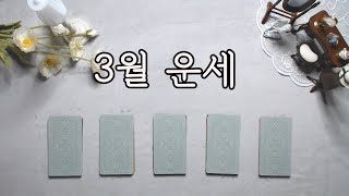 [타로카드/월별운] 3월 운세 (+ 직장, 취업, 애정, 금전)