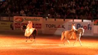 Goldene Show - Apropos Pferd 2015