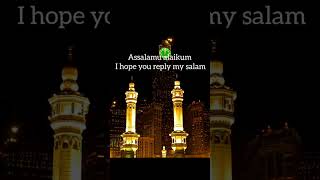 assalam walekum ❤️🤲❤️ alhamdulillah allha huAkbar #youtubeshorts #shortvideo #islamicstatus #foryou