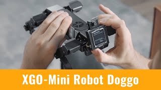 Learn about Robotics with the New XGO-Mini from Luwu