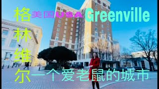 92.美国.南卡州 格林维尔Greenville~一日游\u0026最迷人的美国城市格林维尔\u0026一个有老鼠的城市\u0026美国南卡州做大的城市\u0026南卡美食之都·啤酒之父\u0026北美艺术之都\u0026芦苇丛瀑布公园