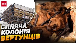 РУКОКРИЛІ на Полтавщині ЗУПИНИЛИ ВСЕ!? Як операція КАЖАН навела ШОРОХУ на всю Україну?