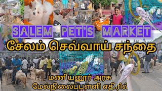 Salem pet markets|சேலம் மணியனூர் செவ்வாய் சந்தை|@Thiyagarajanvlog #youtuber #petsmarket