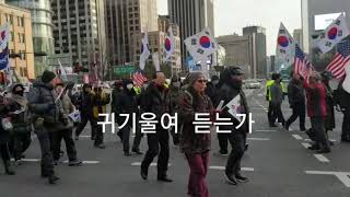 2019.2.9 대한애국당 광화문 입성 후미행진