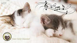 Music For Cats - Peaceful Music To Calm Your Cat Deep Relaxation Comfortable Sleep