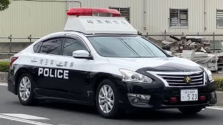 埼玉では当たり前‼️ティアナパトカーの警ら‼️所轄パトカーのパトロール‼️