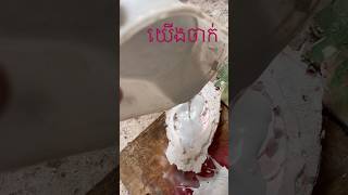 ចាក់ក្បាច់​ម្នាងសិលា