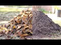 Turn Leaves into FREE Organic Compost