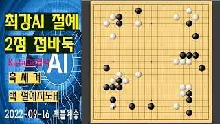 [최강AI 절예 vs 프로기사 2점 접바둑]  카타고 분석 (절예지도H vs 셰 커)  #인공지능바둑 #절예