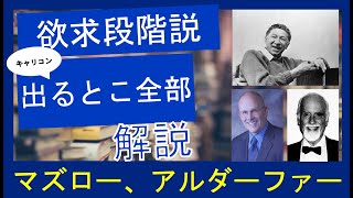 【欲求段階説】時間がないあなたへ！国家資格キャリコン合格の鍵：欲求段階説に関する学習の極意