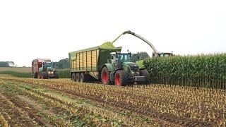 Claas Jaguar 890 bei der Maisernte 2015