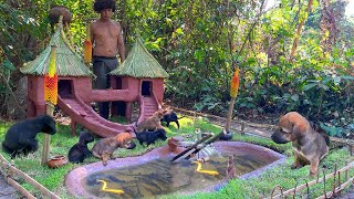 Build Mud dog house for rescue puppies and fish pond
