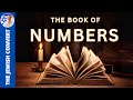 Torah Reading | Complete Book of Numbers / Bamidbar in Hebrew with English Translation