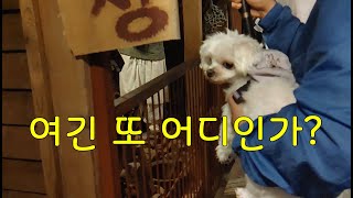 (125) 하루 과거로 여행~   Haru, travel back to the past  (Eng Sub)