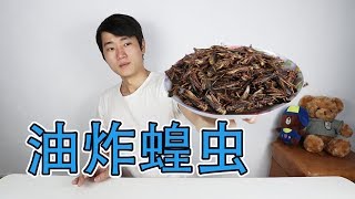 蝗蟲真的可以吃嗎？做一盤“油炸蝗蟲”，簡直好吃到停不下來！ ！ ！【衣谷水原】