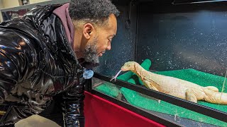 Inside the Kalamazoo Reptile Expo — Snakes, Lizards & MORE