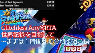 【連続15日目】【スーパーマリオサンシャインRTA配信】Glitchless Any%をさらに極めて 4/30