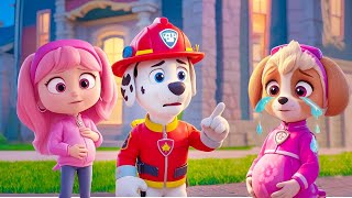 Marshall's Dilemma: A Dramatic Turn in Paw Patrol Life!✨Paw Patrol Ultimate Rescue