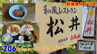 お刺身～ヒレカツ～エビフライ～ソースかつ～『群馬県みどり市』 206