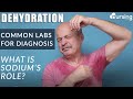 Sodium vs Dehydration- Crucial Lab Values for Diagnosis