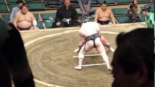 Dewahayate (1-3) - Amuru (0-4) , Sumo : Natsubasho '17