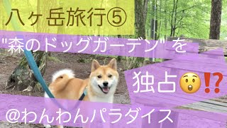 【豆柴ルーク】#21 八ヶ岳旅行⑤ １才のルークと２泊３日の旅行へ★ 「わんパラ」の森のドッグガーデンにて全力疾走\u0026写真撮影♪ 八ヶ岳旅行シリーズ最終回です。（2021年9月に撮影しました）