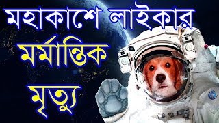 The Sad Story of Laika  1957 | মহাকাশ ভ্রমনে লাইকার মর্মান্তিক কাহিনী