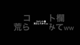 コメント欄荒らしてみてwww