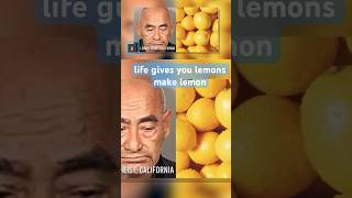 Lemon Thief CAUGHT Sour Handed