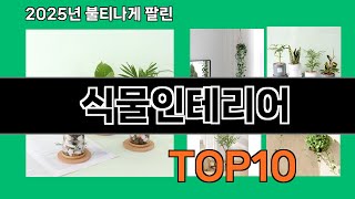 식물인테리어 쿠팡에서 핫한 신상템 BEST 10