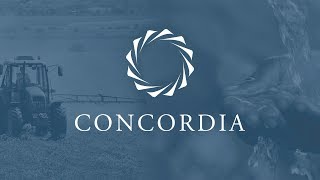 2017 Concordia Annual Summit - Day 2 | Concordia