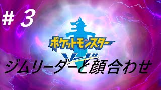 #３【ポケットモンスターソード　switch】ジムリーダーと顔合わせ