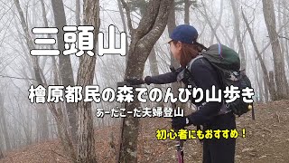 【三頭山檜原都民の森】４月中旬早春の山散歩　登山初心者、子ども、シニアにもおすすめ