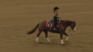 241020   YOUTH   HALLIE ROSE MUSSELMAN on GUNNABE A TRASHYGIRL