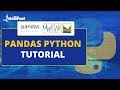 Python Pandas Tutorial | Pandas Python | Intellipaat
