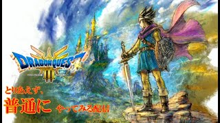 【DQ3-2D】適当芸夢【switch版】