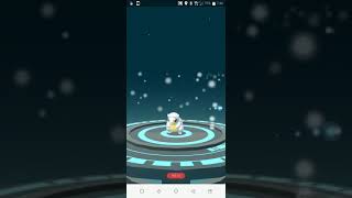 Pokemon Go 精靈寶可夢阿羅拉地區穿山鼠進化穿山王