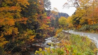 紅葉を見に行ってきた！！奥利根ゆけむり街道（ 奈良俣ダム～照葉峡～坤六峠）