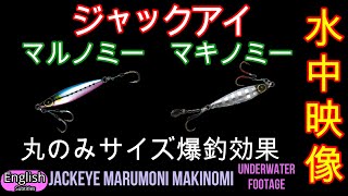 誰でも簡単に釣れる ジャックアイマルノミー　マキノミー ショア【ライトショアジギング】オフショア【スーパーライトジギング】　どこでもよく釣れる