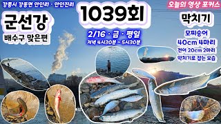 1039회 2/16 금 👀📲 안인 군선강 배수구맞은편 해떨어지기전 저녁시간에 막치기로 모찌숭어 40cm 4마리와 20cm 전어 2마리를 연속적으로 잡는 모습 저녁 안주거리 확보