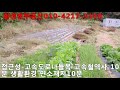 매물1014 횡성부동산.횡성 전원주택지 최고의 청정지역 해발400고지 푸른 숲 산으로 독립공간 남향 460평 매 일억천