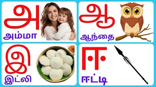 Uyirezhuthukal| உயிர் எழுத்துக்கள்|அஆஇஈஉஊஎஏஐஒஓஔ| Kids Learning tamil basic| @KuttyChuttyTv