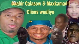 Daahir Calasow 2025 \u0026 Maxkamadii Ciisas waaliya Qaybtii Kobaad.