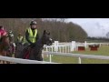 Betfair - Paul Nicholls Cheltenham Runners 2016 Day 4