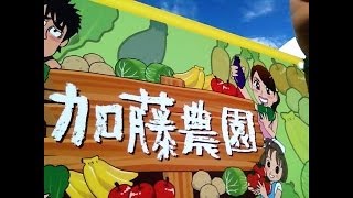 14日目「GOGO!三ちゃんねる」