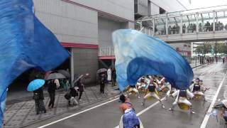 ひなた　2016四日市よさこい祭り11/27（日）　駅前通りパレード会場