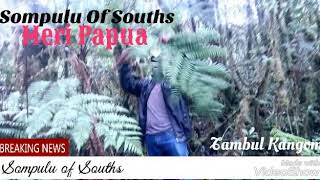 Sompulu Of Souths - Meri Papua-png Music